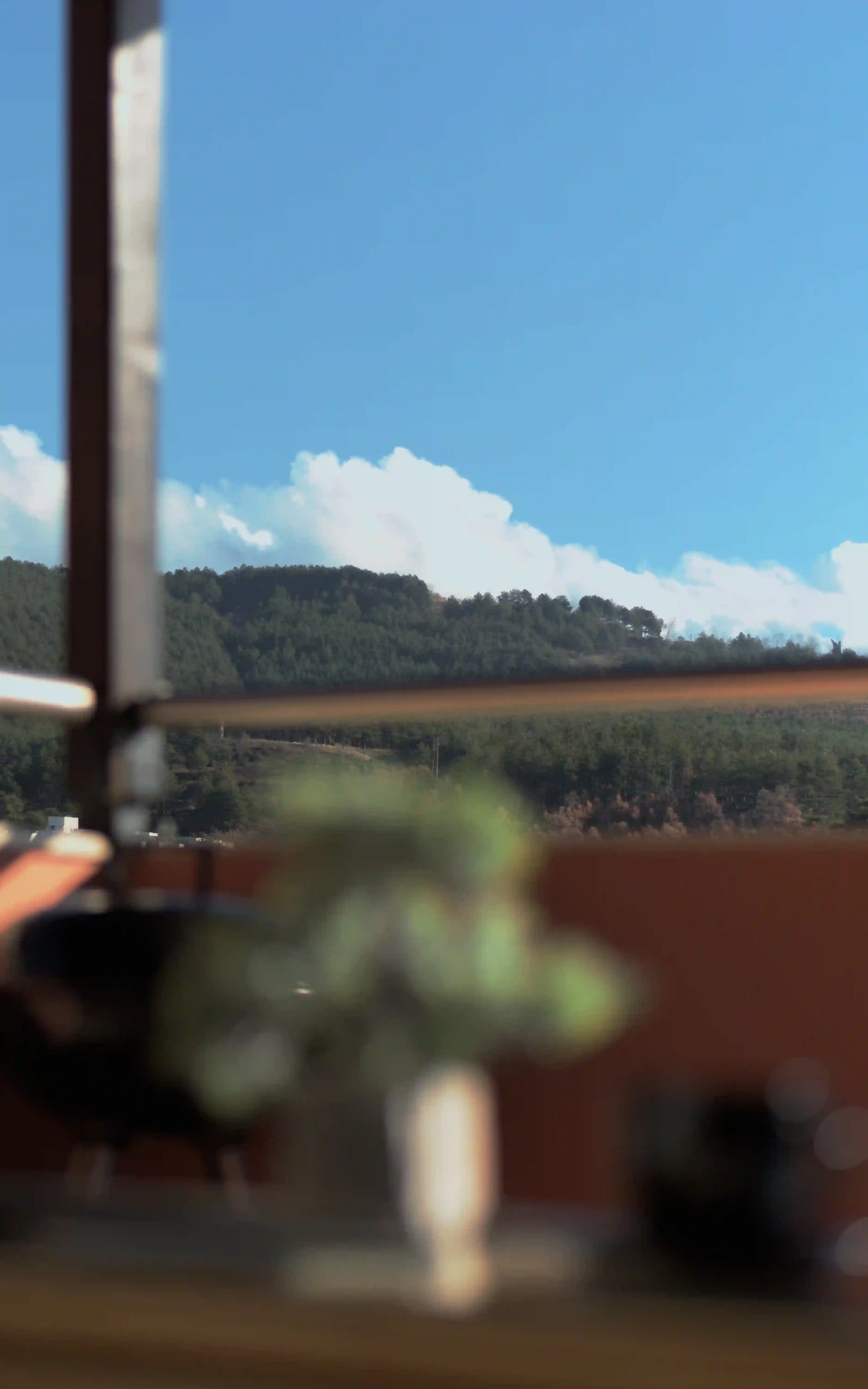 Медиус Парк Апартамент - Image 2